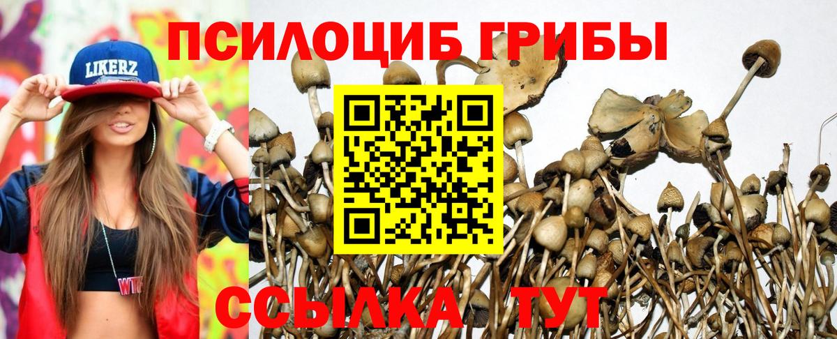 что такое наркотик  Псилоцибиновые грибы прущие грибы  Донецк  Вход с VPN  Галлюциногенные грибы Cubensis 